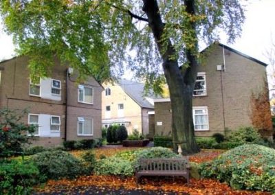 View of a tree with dwellings in the background at Carrs Lane Gardens