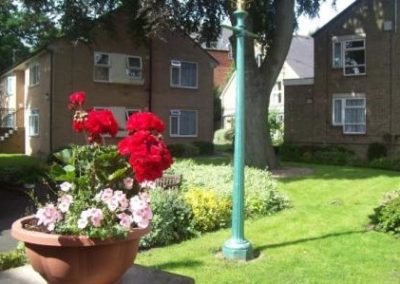 Flowers and buildings at Carrs Lane Gardens